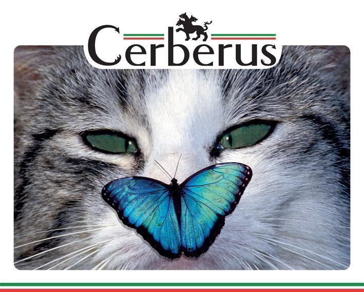 profilo aziendale - cerberus